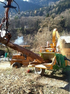 Attenzione all'ambiente di Agritur Calvola - Agritur Calvola 