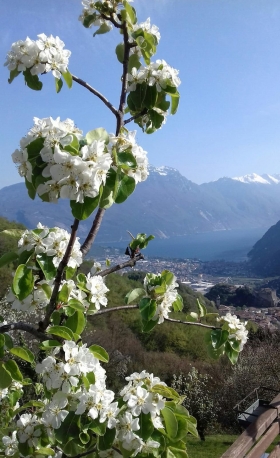  - Agritur Calvola 